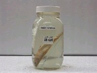藏品(前鱗鮻)的圖片